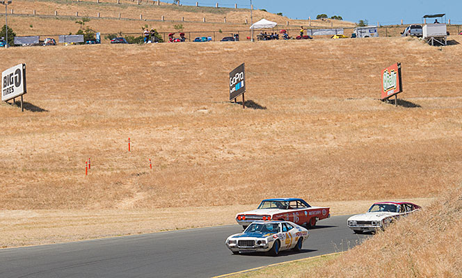 Sonoma Motorsports Festival