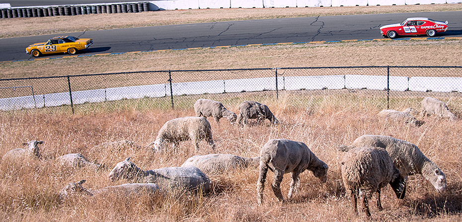  Sonoma Historic Motorsports Festival 